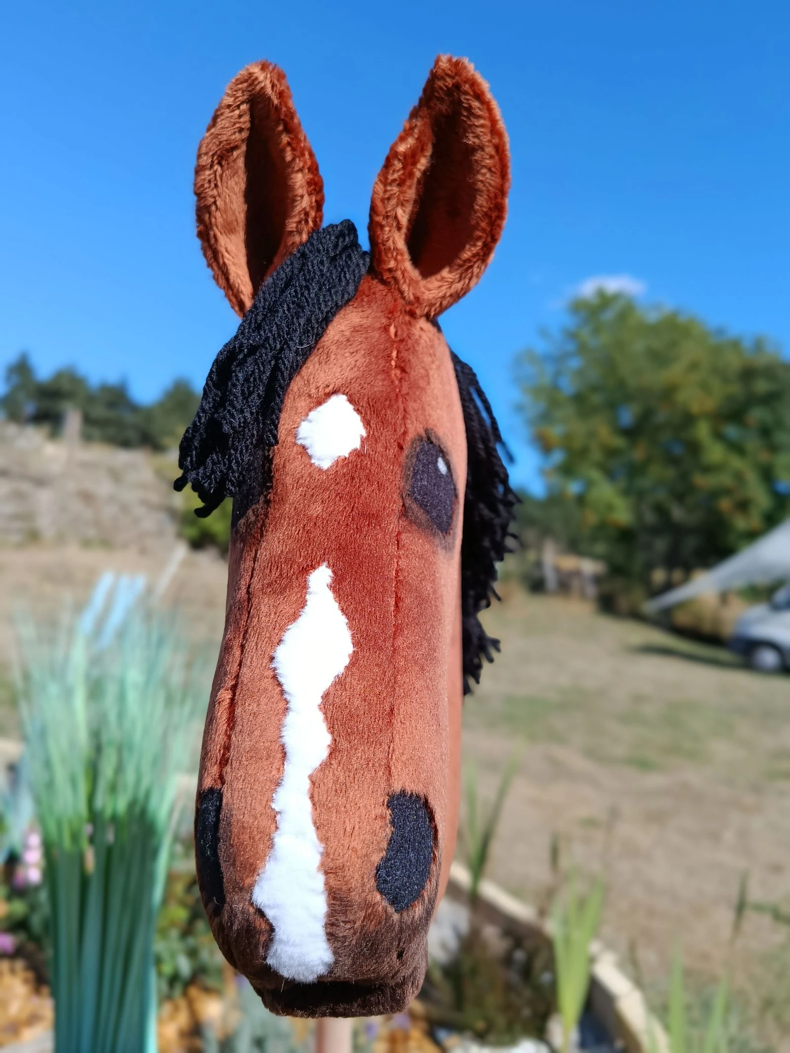 Caballito a caballo – photo 3